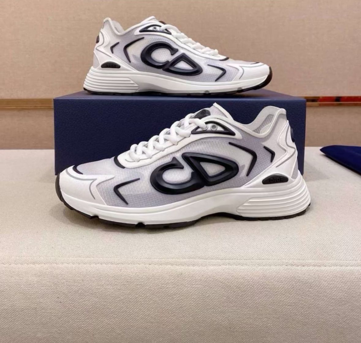 Dior – Baskets CD Tech Runner
