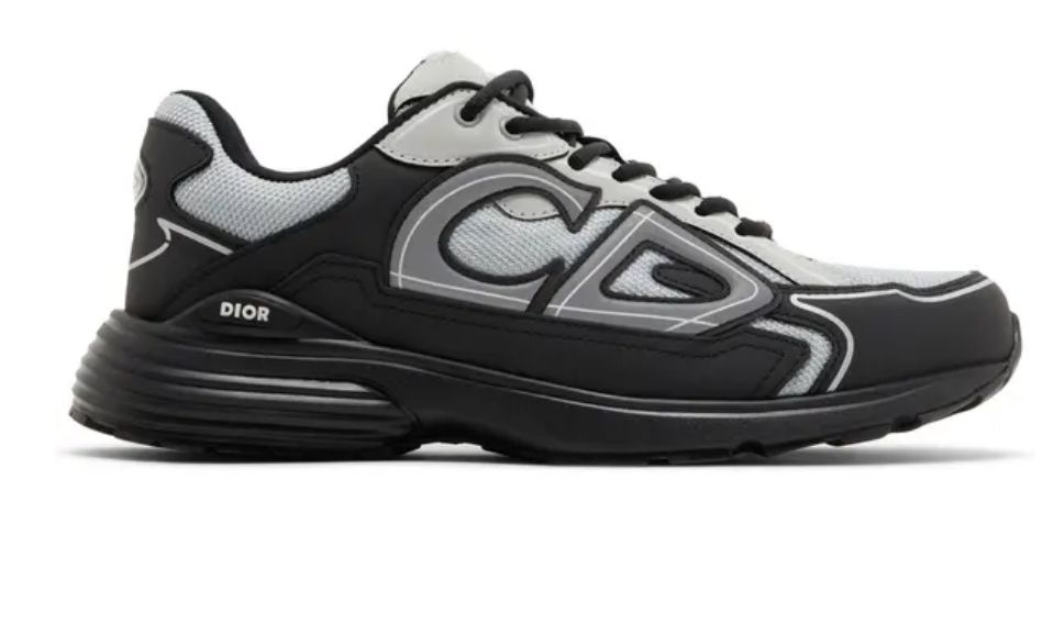 Dior – Sneakers CD Tech